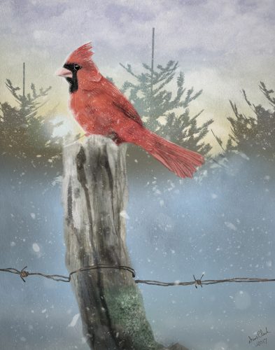 Red cardinal perched on weathered fence post in snowy winter scene with evergreen trees in background