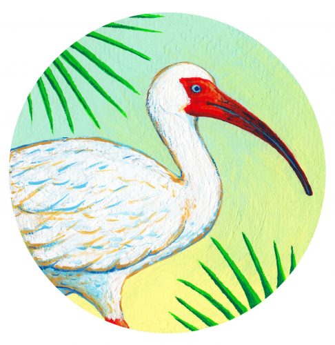 White ibis with red beak and face standing among green palm fronds in tropical setting, circular artistic illustration