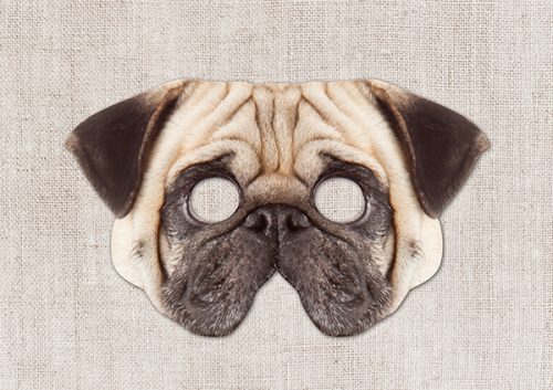 Pug dog face mask with eye holes for costume or party wear on beige linen background